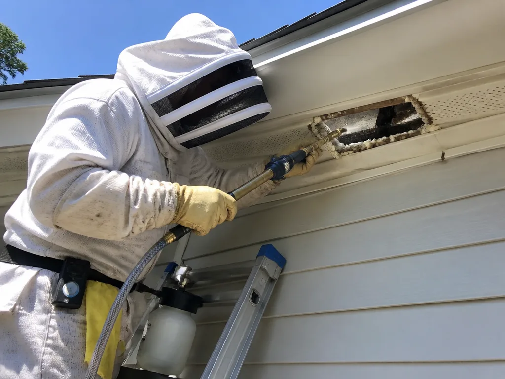 Bee & Wasp Removal